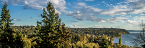 The PNW Slow Crawl goes virtual!
