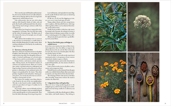 wild dyeing - Knot Another Hat