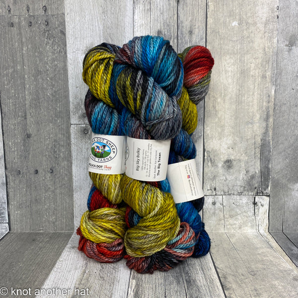 Good VIbes Yarn Tour Polka Dot Sheep Yarns Big Sky Bulky the big texan - Knot Another Hat