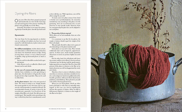 wild dyeing - Knot Another Hat