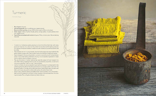 wild dyeing - Knot Another Hat