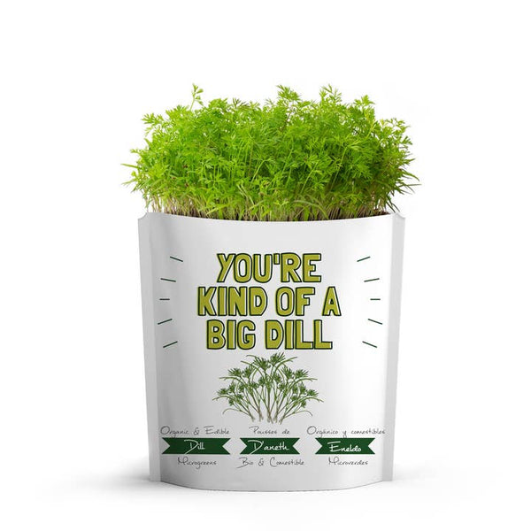 giftagreen greeting card seed pouches you're kind of a big dill - Knot Another Hat