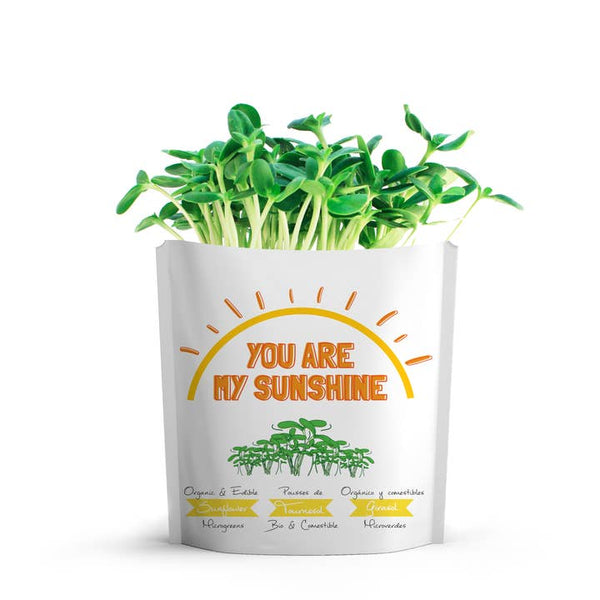 giftagreen greeting card seed pouches you are my sunshine - Knot Another Hat