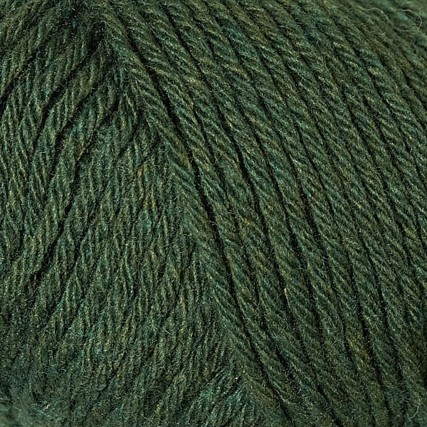 knot another hat gina poncho grab-n-go bundle renew tortoise 1340 - Knot Another Hat