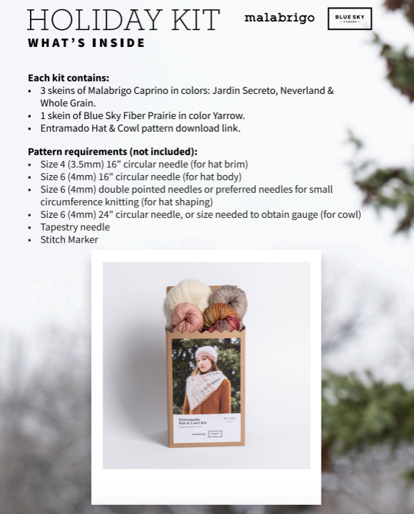 malabrigo+blue sky holiday kit 2025 - Knot Another Hat