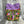 Load image into Gallery viewer, kartybell large doodley-do bag 3 - Knot Another Hat