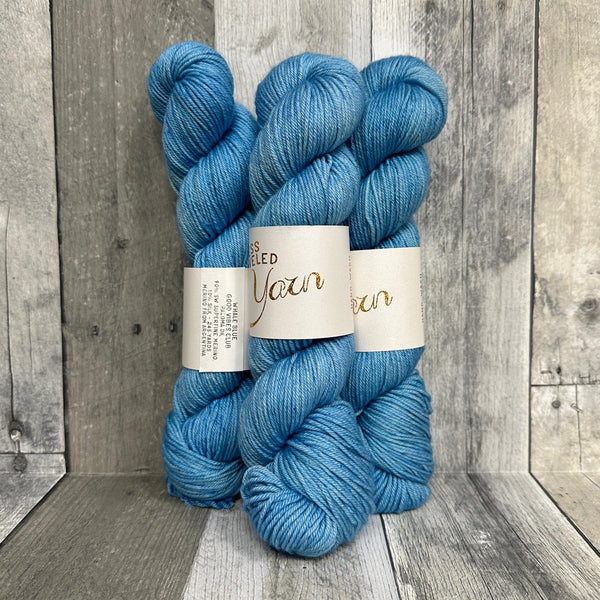 Good Vibes Yarn Tour Less Traveled Yarn Paloma DK whale blue - Knot Another Hat
