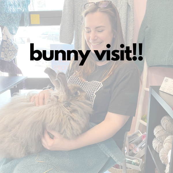 20th anniversary - sinfully soft angora bunny visit :: july 13 - Knot Another Hat