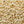Buttery Salt / Popcorn - Knot Another Hat