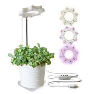 seed-n-sprout bloomie indoor grow light - Knot Another Hat