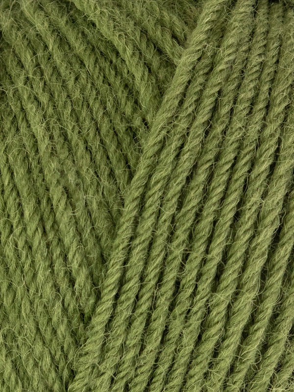 west yorkshire spinners colourlab DK 1207 fern green - Knot Another Hat