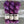 Load image into Gallery viewer, purltalk yes, suri! ube purple - Knot Another Hat
