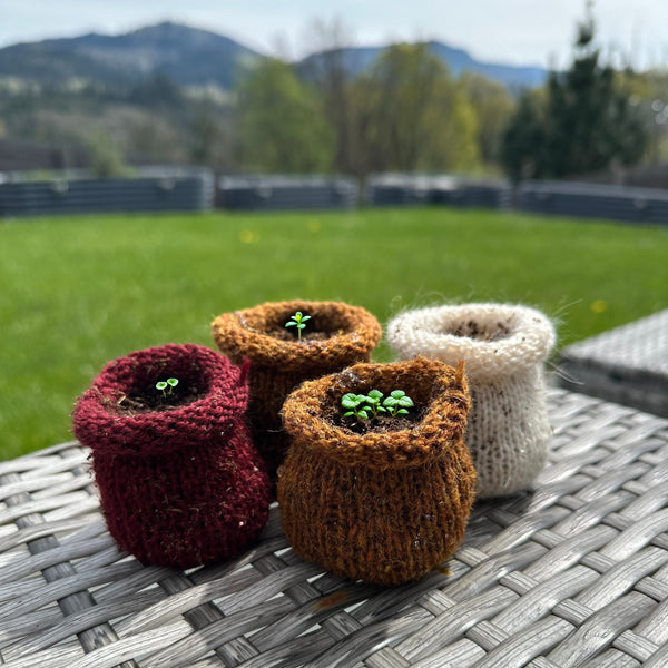 knot another hat wee little planters (download)
