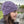 knot another hat gorge winds (download)  - Knot Another Hat