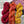 knot another hat smile again hat & mitts grab-n-go bundles gold/chili/cherry - Knot Another Hat