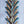 creative stitches for contemporary embroidery - Knot Another Hat