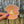 get bullish snarky stickers orange cat energy - Knot Another Hat