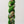 gusto wool carmen 1408 - Knot Another Hat