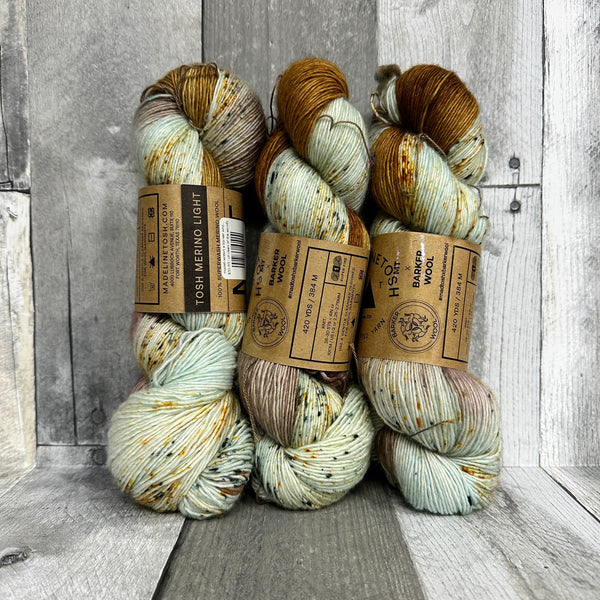 madelinetosh x barker wool collab: tosh merino light planned pooling colors chicken of the woods - Knot Another Hat