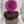 knot another hat elf hat grab-n-go bundles Ms Whimsy - Knot Another Hat