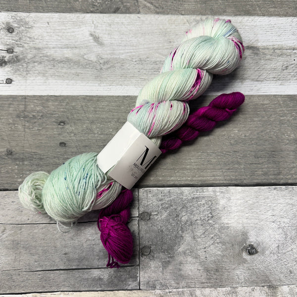 molly klein design sock set