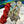 knot another hat butterly | papillon grab-n-go bundles 3027 and Rubia - Knot Another Hat