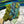 knot another hat butterly | papillon grab-n-go bundles 3012 and Grape Leaf - Knot Another Hat