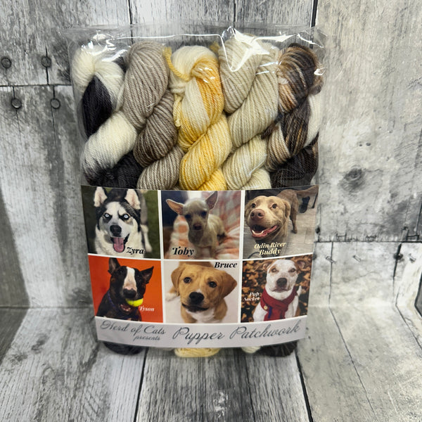 classic cat trunk show mini packs