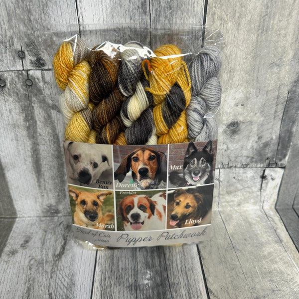 classic cat trunk show mini packs