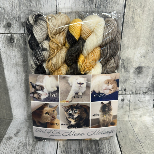 classic cat trunk show mini packs