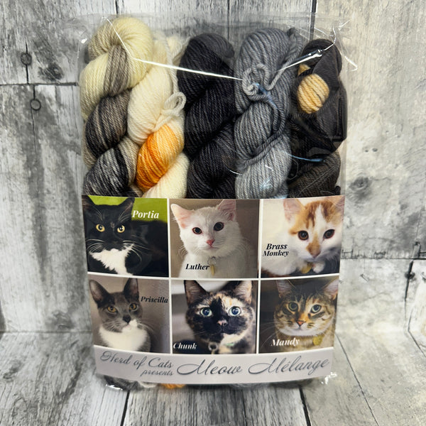 classic cat trunk show mini packs