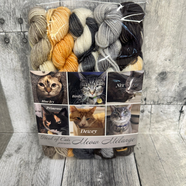 classic cat trunk show mini packs