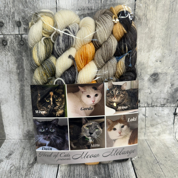 classic cat trunk show mini packs