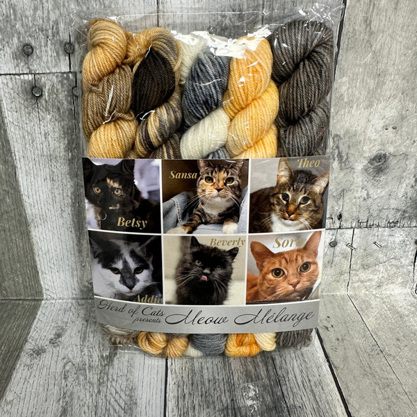 classic cat trunk show mini packs