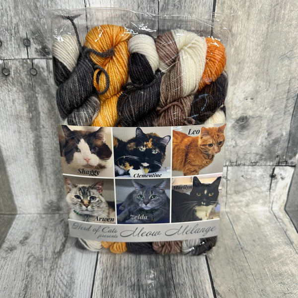 classic cat trunk show mini packs