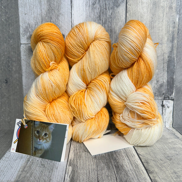 classic cat trunk show fingering