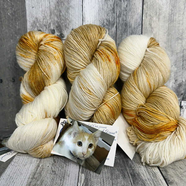 classic cat trunk show fingering