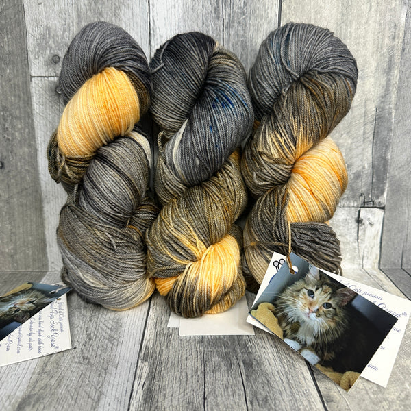 classic cat trunk show fingering