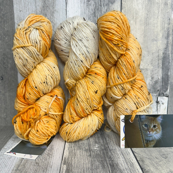 classic cat trunk show DK tweed