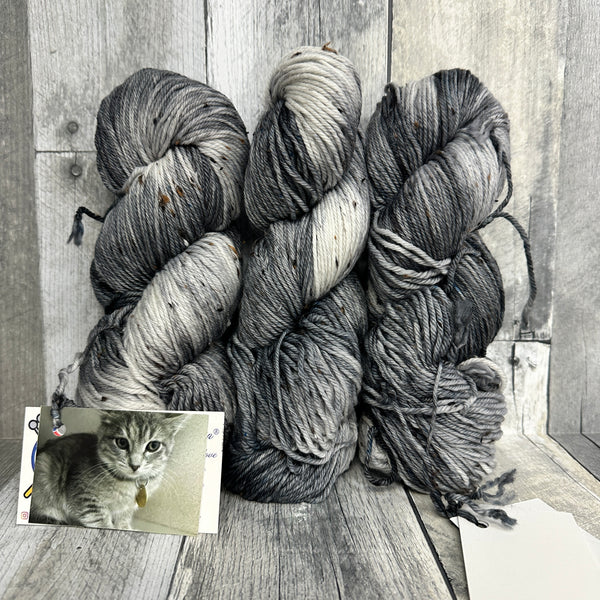 classic cat trunk show DK tweed