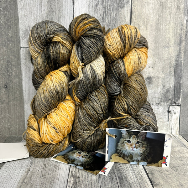 classic cat trunk show DK tweed