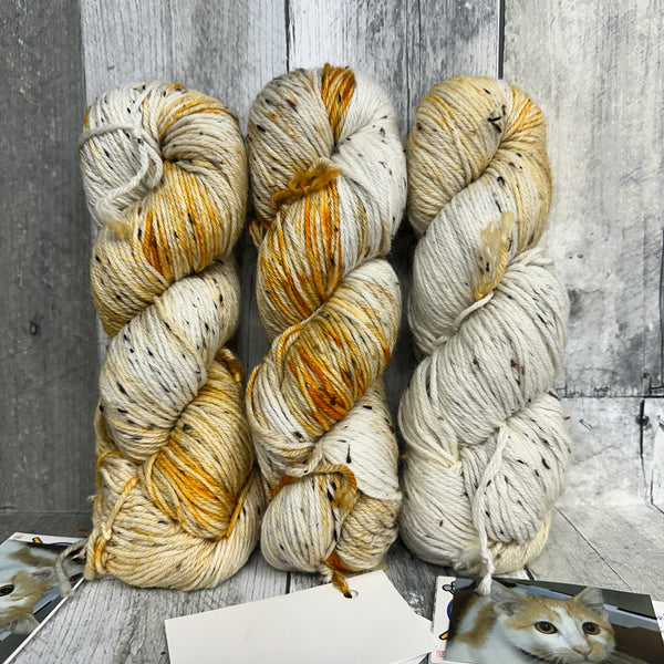 classic cat trunk show DK tweed