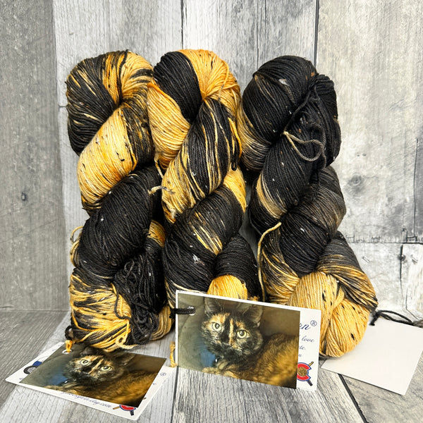 classic cat trunk show sock tweed