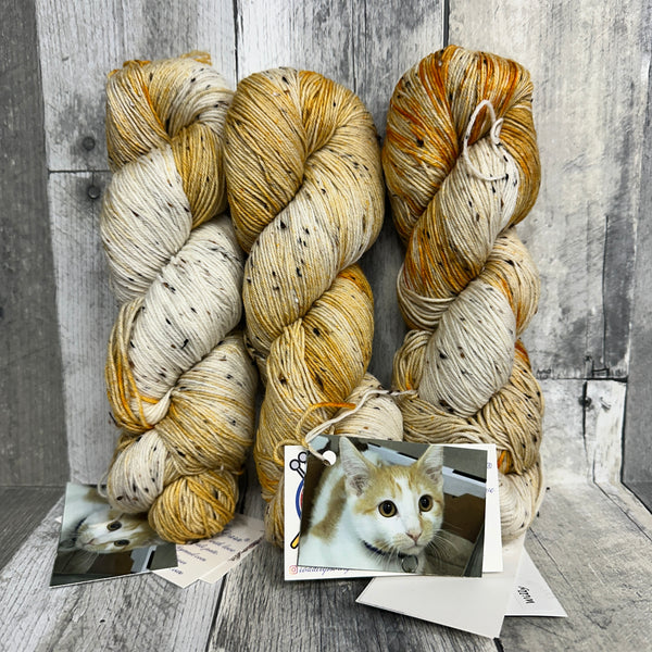 classic cat trunk show sock tweed