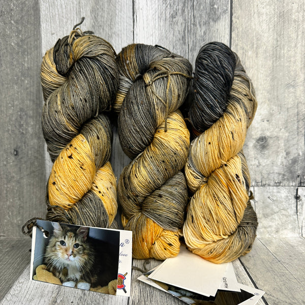 classic cat trunk show sock tweed