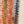 laines du nord inca cotton 02 green ecru taupe rust - Knot Another Hat