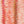 laines du nord inca cotton 03 pinks yellows ecru - Knot Another Hat