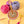 lemonwood mini-minder sunrise (floor model) - Knot Another Hat