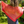 knot another hat strawberry high (download) - Knot Another Hat