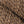 berroco ultra alpaca dyed and natural